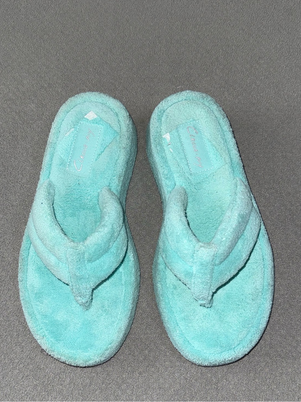 Circus NY by Sam Edelman Aqua Terry Flip Flop Sandals - Light Teal